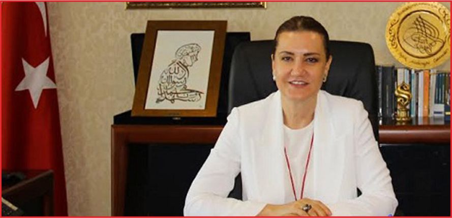 700 BİN ENGELLİYE &#039;BEYAZ BASTON&#039;!