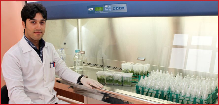 KMÜ’LÜ ARAŞTIRMA GÖREVLİSİNE TÜBİTAK’TAN 100 BİN TL HİBE