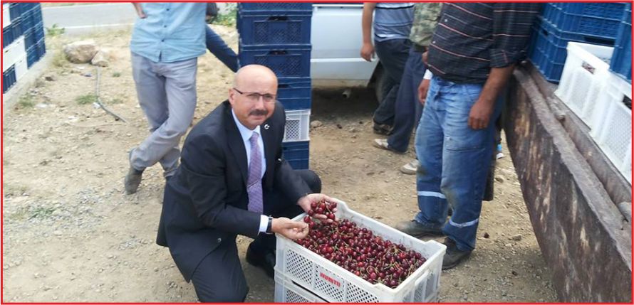 KİRAZ BORSASI AÇILDI