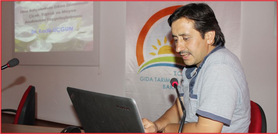 ÇİÇEK, YAPRAK VE MEYVE ANALİZLERİ