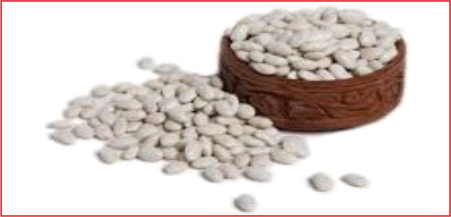 KARAMAN KURU FASULYE’DE İKİNCİ