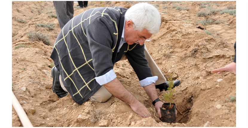 AYRANCI’DA AĞAÇLANDIRMA SEREFBERLİĞİ