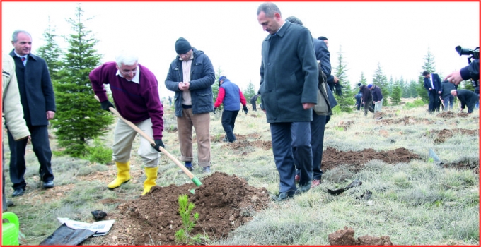 EMNİYET\&#039;DEN  HUZUR ORMANI\&#039;NA FİDAN DİKİMİ