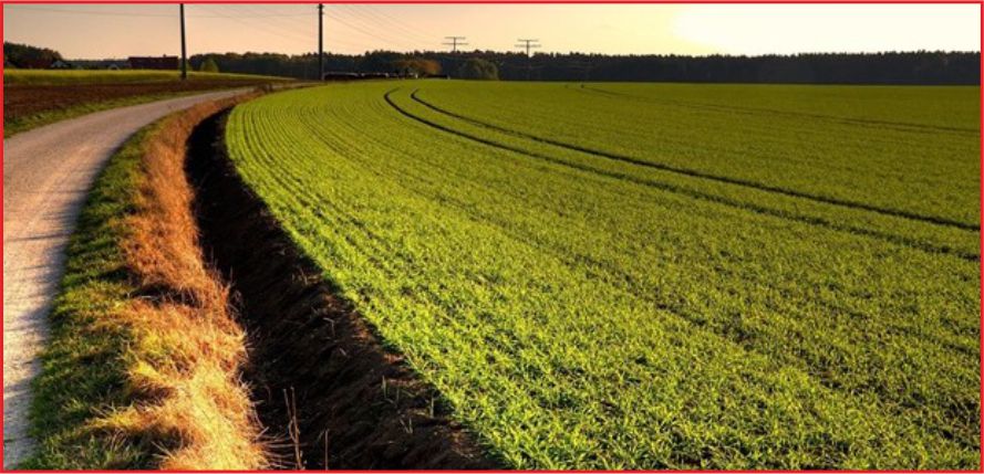 BAKANLIK'TAN TARIM İÇİN BÜYÜK HAMLE