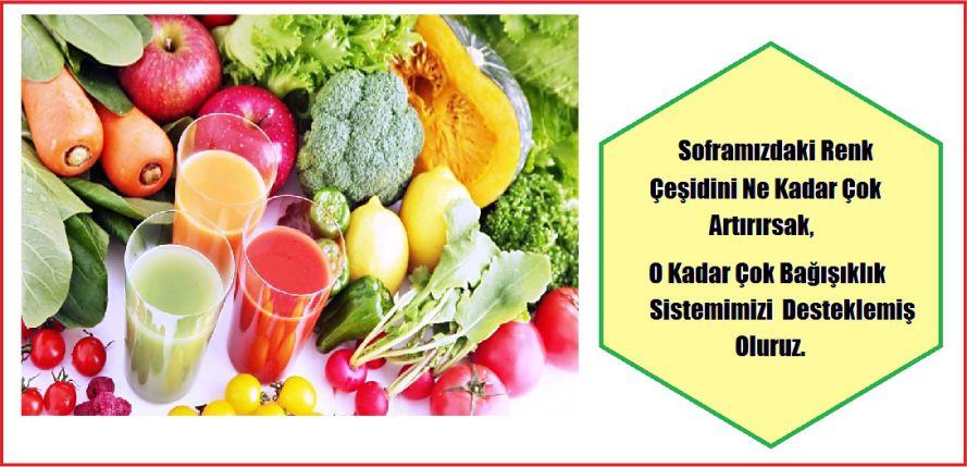 BİZİ GRİPTEN KORUR!