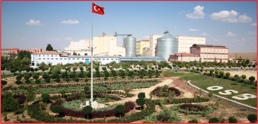 PARALEL’İN ‘ARSA AVI’