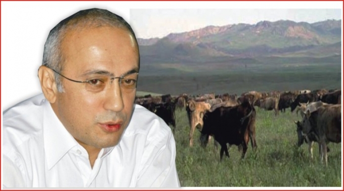 \&quot;250 BİN DEKAR ATIL MERA ARAZİMİZ VAR\&quot;