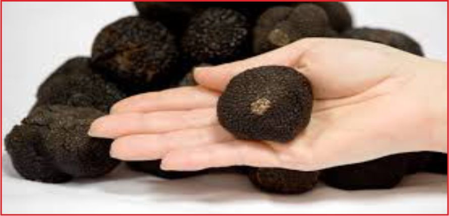 KARANLIĞI AYDINLATAN IŞIK !