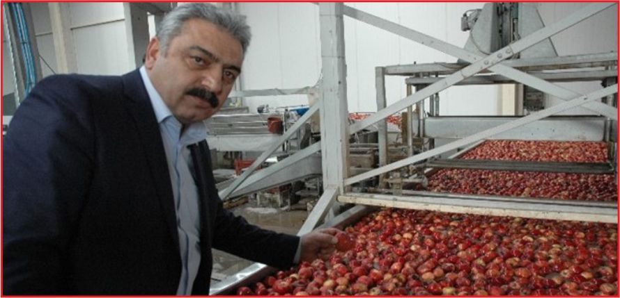 KARAMAN ELMA’DA TÜRKİYE İKİNCİ