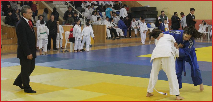 TÜRK DİL KUPASI TÜRK DİLİNİN BAŞKENTİ KARAMAN’DA YAPILACAK