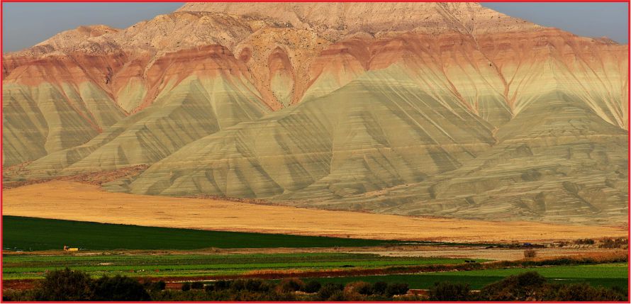 DÜNYA’DA DAKİKADA 10 HEKTAR ALAN, ARAZİ BOZUNUMUNA UĞRUYOR