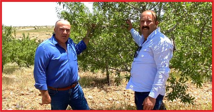 “BADEM ÜRETİCİLERİMİZİN YÜZÜ GÜLÜYOR”