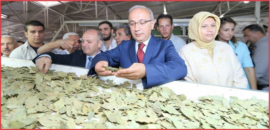 “AK PARTİ GÖVDESİNİ TAŞIN ALTINA KOYDU”