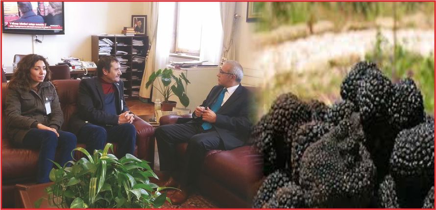 KARAMAN TRÜF İLE MARKA OLACAK