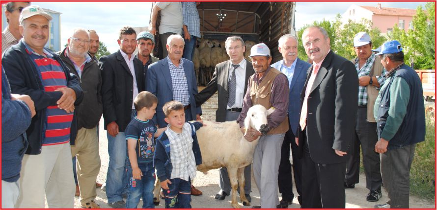 DAMIZLIK KOÇLAR SAHİPLERİNİ BULDU