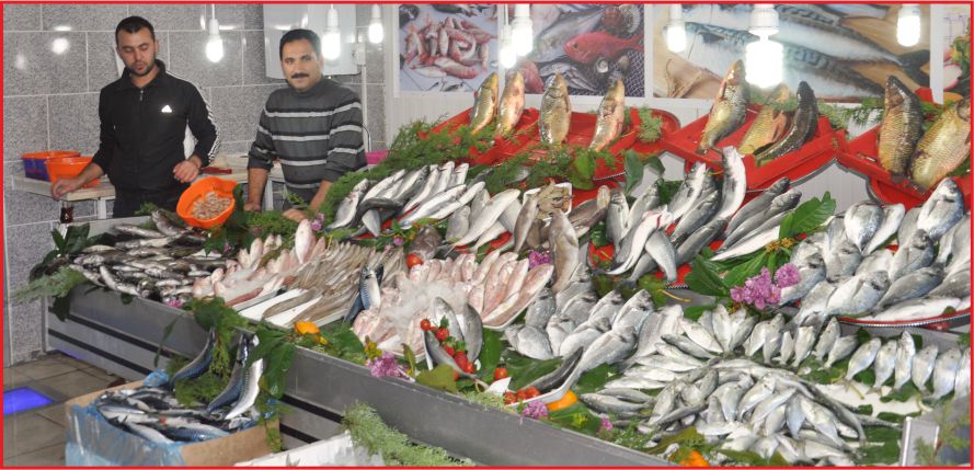 KUTLU BALIK EVİ 5 YILDIZ !