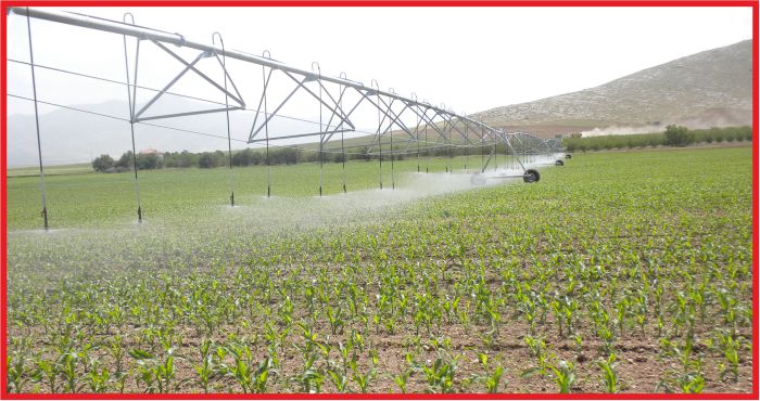 BİR DAMLA BİN GELECEK