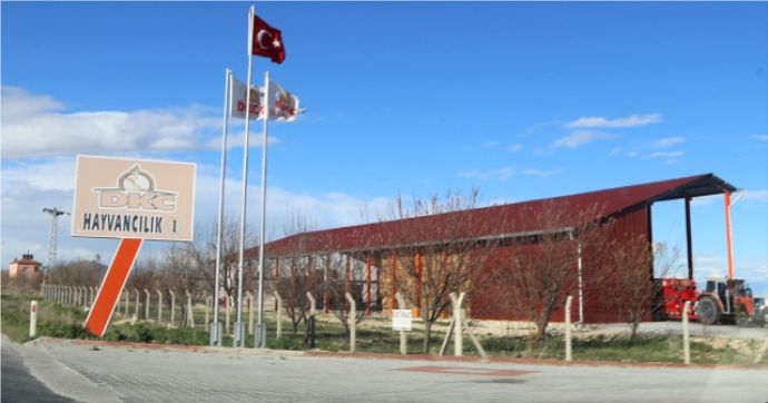 BİR İNEK 60 KİŞİYE KİRALANMIŞ  !