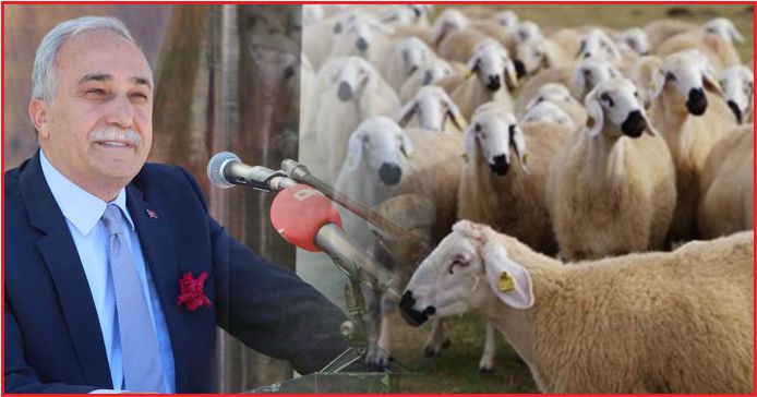 “BU YIL 500 BİN KOYUNU VERECEĞİZ”