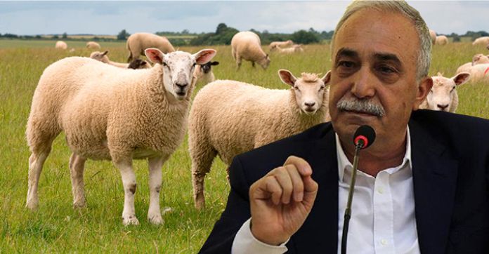 “BU YIL 500 BİN KOYUN DAĞITACAĞIZ”