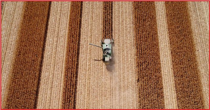 “BU ZENGİNLİĞİN KIYMETİNİ BİLELİM”