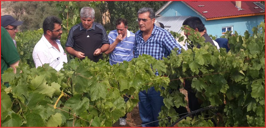 “İŞİMİZ ÇİFTÇİYİ BÜYÜTMEK”