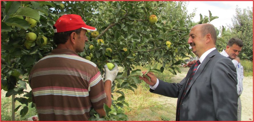 “ 450 TON REKOLTE BEKLİYORUZ”