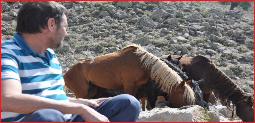 KARADAĞ' IN EFENDİLERİ; YILKILAR
