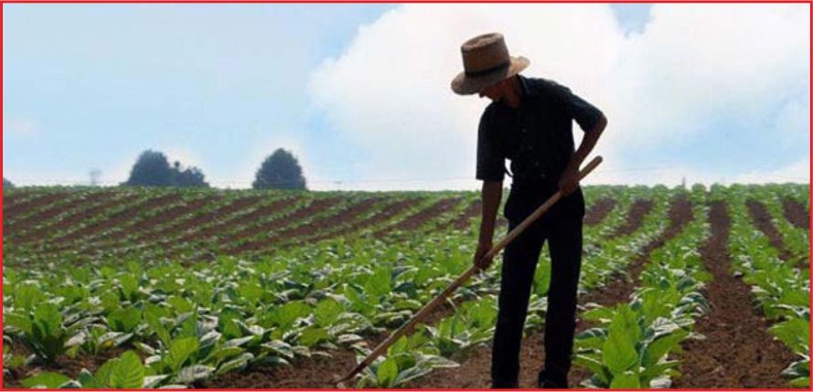 KIRSALDA İŞSİZ GENÇ KALMAYACAK