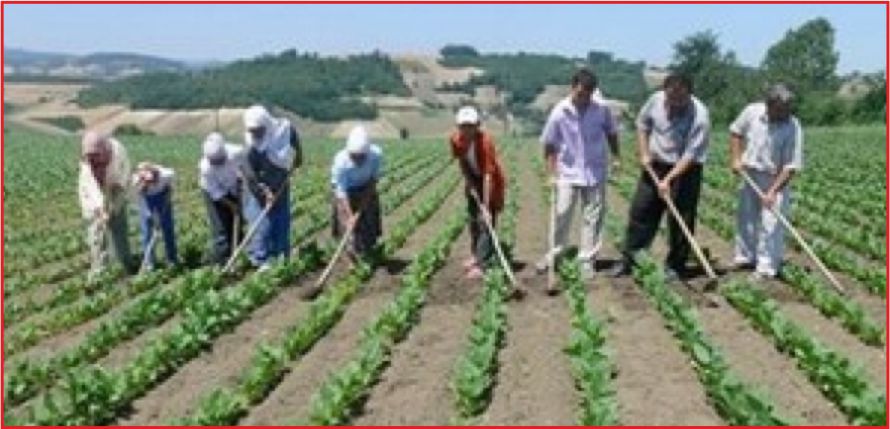 ÇİFTÇİNİN SGK TEBLİĞİ DEĞİŞTİ