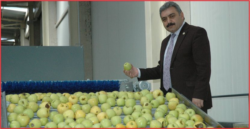 40 BİN TON ELMA SOĞUK HAVA DEPOSUNDA BEKLİYOR