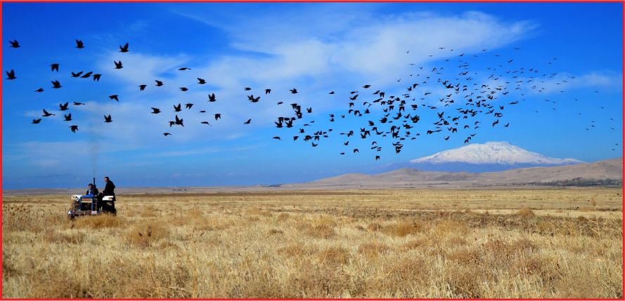 BAŞVURU SÜRESİ UZATILDI