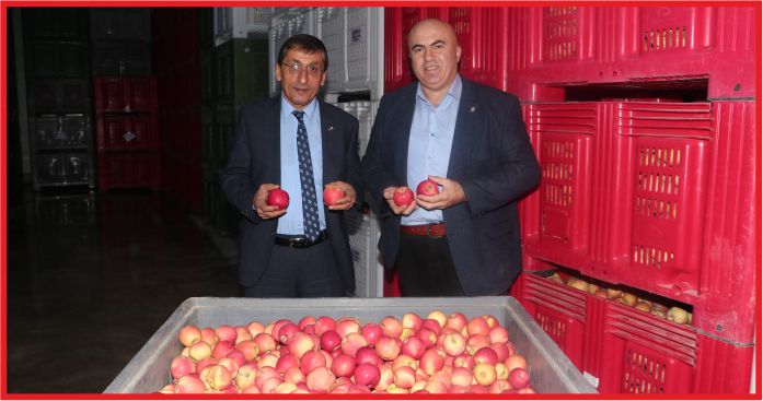 ÇAVAŞ, “ELMAYA İHRACAT TEŞVİĞİ VERİLSİN”