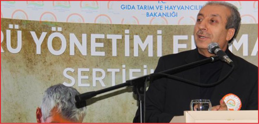 \"BUĞDAY İLE KOYUN GERİSİ OYUN\"