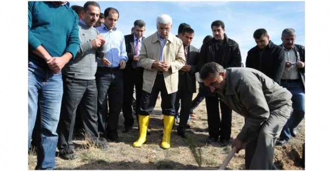 AYRANCI’DA AĞAÇLANDIRMA SEFERBERLİĞİ