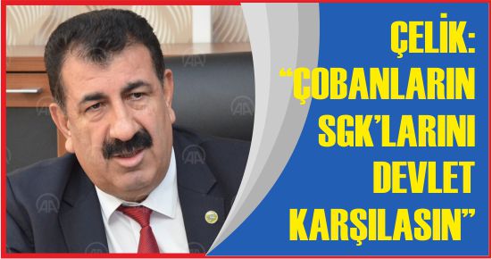 ÇELİK:“ÇOBANLARIN SGK’LARINI DEVLET KARŞILASIN”