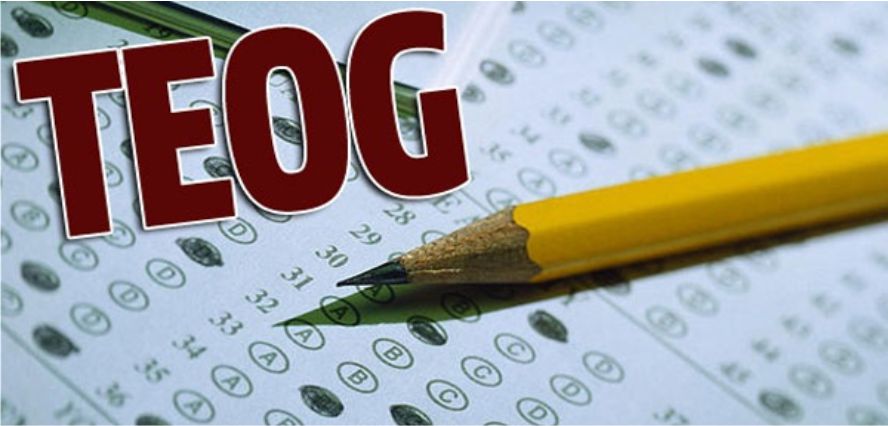 TEOG YERLEŞTİRME SONUÇLARI 2015 AÇIKLANDI!