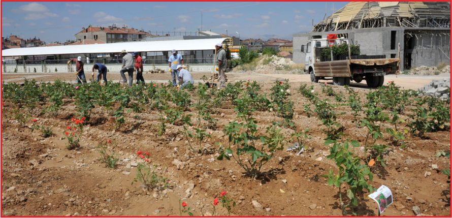 CENNETTEN BİR BAHÇE “GÜL BAHÇESİ”