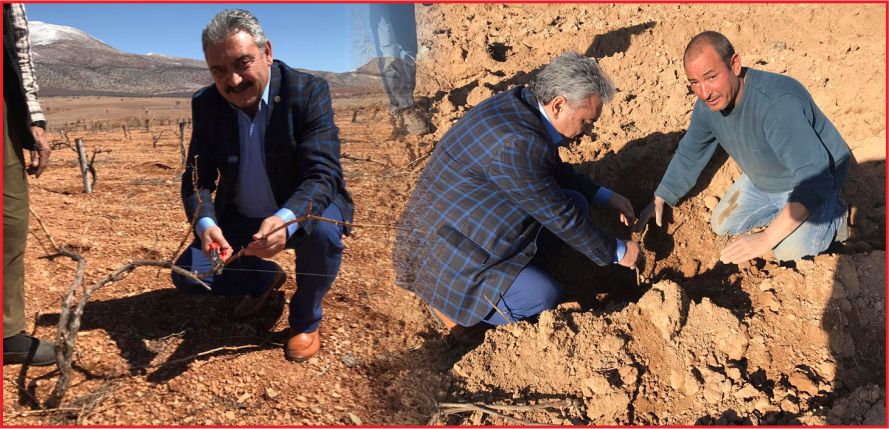 “EKŞİKARA VAZGEÇİLMEZ BİR TADDIR”