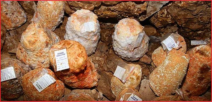 DİVLE ‘ÖRNEK KÖY’ OLMALI !