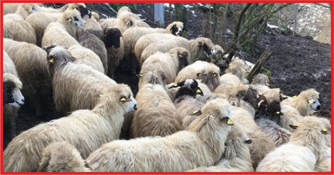 ÇİFTÇİNİN 1.8 MİLYARI ÖDENİYOR