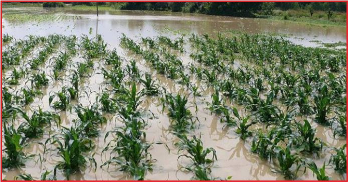 ÇİFTÇİNİN BORCUNA BİR YIL ERTELEME İMKANI