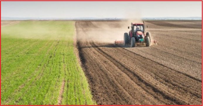 ÇİFTÇİYE 13 YILDA 1,7 MİLYAR LİRALIK TOHUMCULUK DESTEĞİ