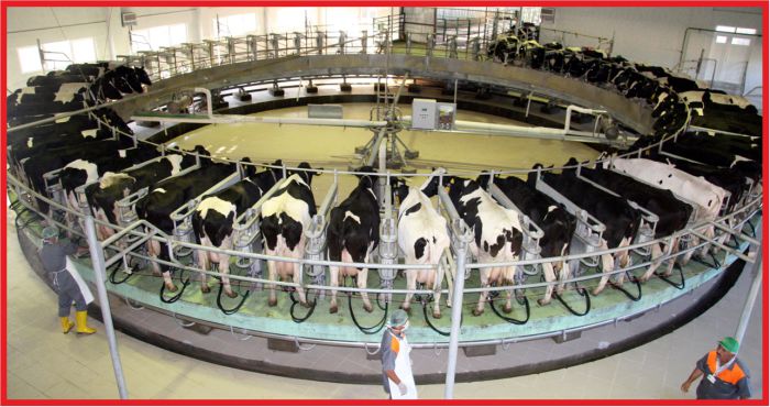 “ÇİĞ SÜT FİYATI ARTIRILMALIDIR”