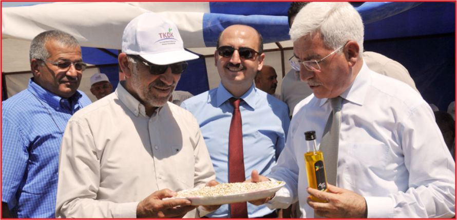 “ASPİR DEĞERLİ BİR BİTKİDİR”