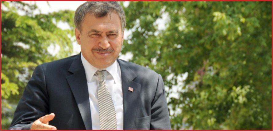 TÜRKİYE\&#039;DE AĞAÇLANDIRILAN ALAN, 10 YILDA 7 KAT ARTTI