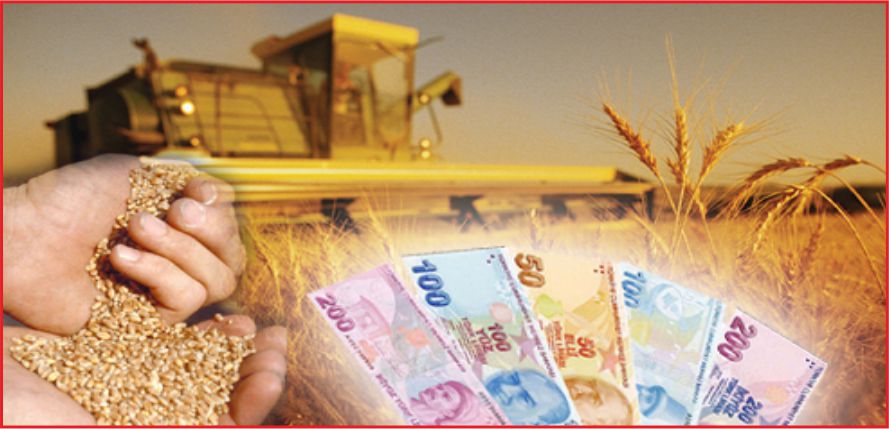 TARIMSAL DESTEKLEME BAŞLIYOR