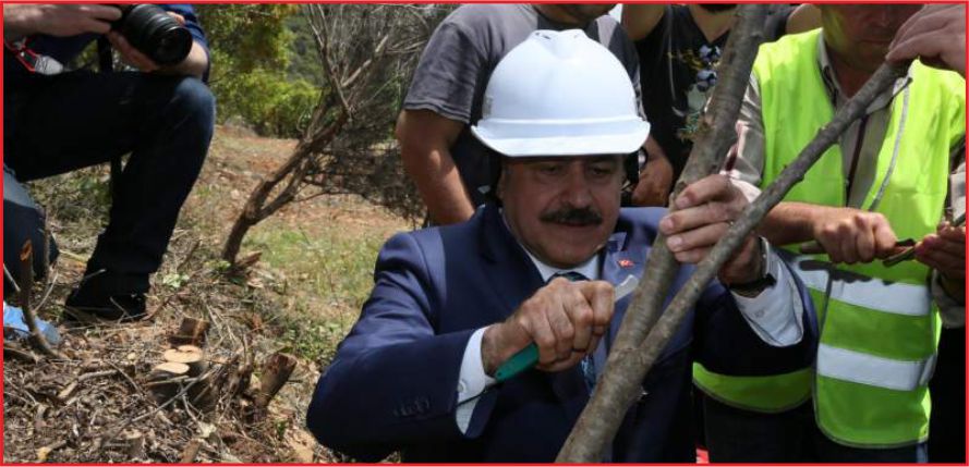 AĞAÇLANDIRMAYA YENİ YOL HARİTASI