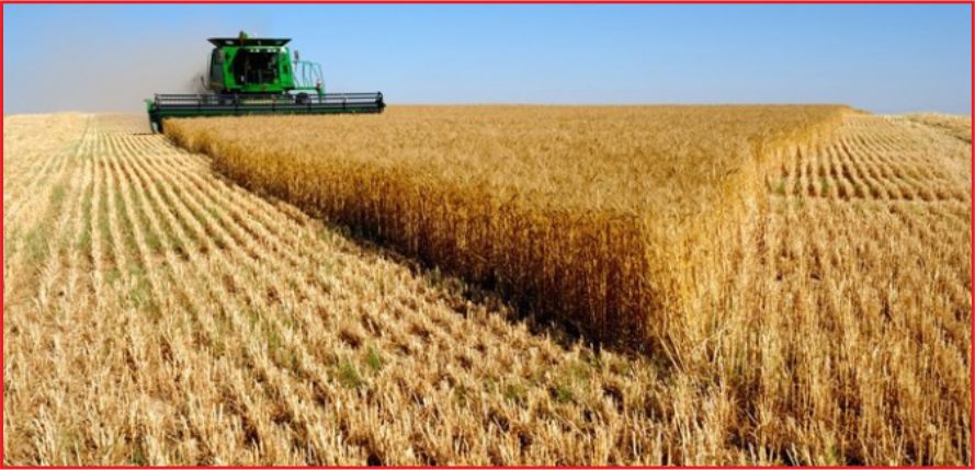 HUBUBAT VE ET İTHALATINA KAPILAR AÇILDI