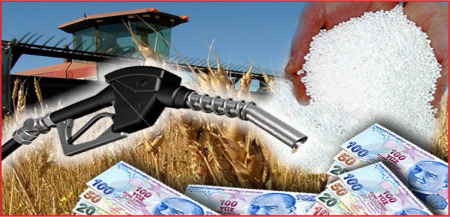 KÜÇÜK AİLE İŞLETMELERİNE TARIMSAL DESTEK